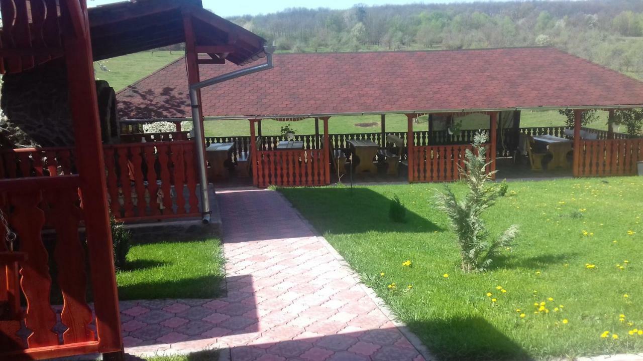 Casa Leonardo Hotel Hateg Exterior photo