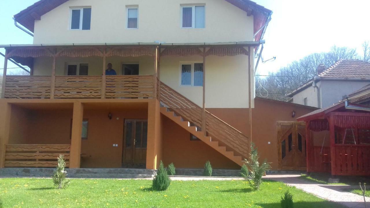 Casa Leonardo Hotel Hateg Exterior photo